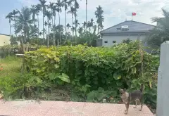 Cơ Hội Vàng Săn Đất Thổ Cư Đẹp Nhất Đại Trang - An Trường... Bán đất tại An Trường, Hải Phòng 05