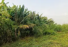 Bán đất 639m2 mặt tiền 15m tại Bình Lợi, Bình Chánh... Bán owner_side tại Bình Lợi, Hồ Chí Minh 01