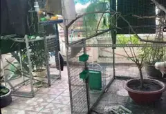 Nhà 3 tầng 4PN hướng Đông Bắc tại phường 11 giá 7.95 tỷ... Bán nhà riêng tại Thông Tây Hội, Hồ Chí Minh 08