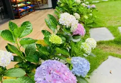 Biệt thự mặt phố đẳng cấp tại vùng ven Đô Hà Nội– không gian sống thượng lưu rộng mở với 2120m2... Bán nhà mặt phố tại Yên Bài, Hà Nội 03