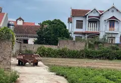 Đất phân lô giá tốt tại Hiệp Cường, Hưng Yên... Bán đất tại Hiệp Cường, Hưng Yên 03