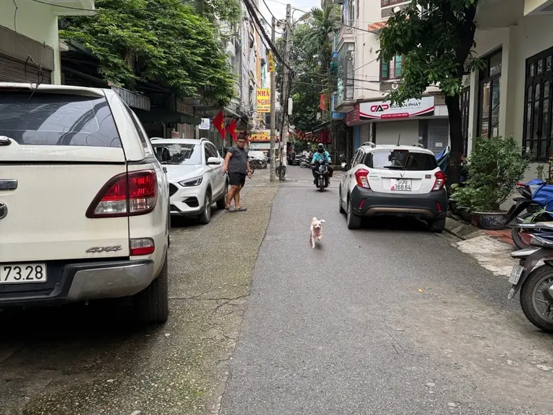 Bán nhà 3.5 tầng tại Lưu Quang Vũ, mặt tiền 3.7m, ô tô tránh... Bán nhà riêng tại Yên Hòa, Hà Nội 01