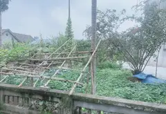 Bán đất 748m² đất thổ cư và vườn tại Nam Sơn giá 5,6 tỷ... Bán đất tại Trung Giã, Hà Nội 03