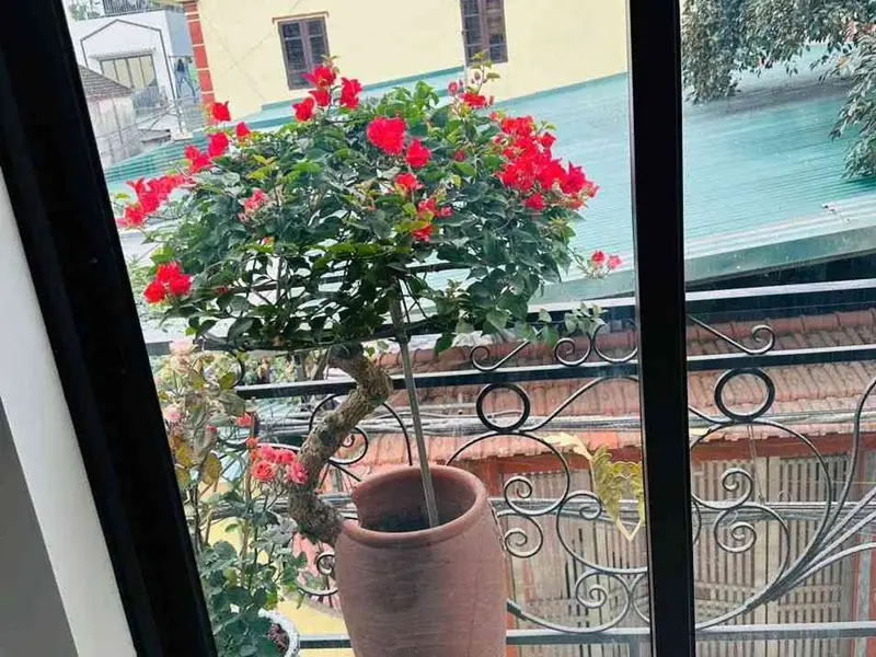 Nhà ngõ ô tô, 5 tầng, kinh doanh cực đỉnh ở Yên Nghĩa... Bán nhà riêng tại An Khánh, Hà Nội 01