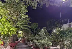 Đất Biệt Thự View Công Viên Gò Vấp – Sở Hữu Vàng, Cơ Hội Vàng... Bán đất tại An Nhơn, Hồ Chí Minh 06
