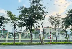 Đất trung tâm Thư Lâm - chờ đón tương lai phát triển... Bán đất tại Thư Lâm, Hà Nội 03