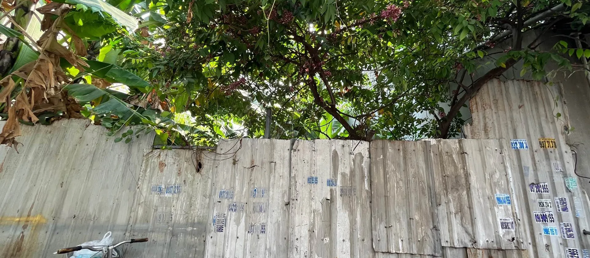 Bán đất 140m2 mặt tiền 7m gần trung tâm chợ Dĩ An giá 4,3 tỷ... Bán đất tại Dĩ An, Hồ Chí Minh 01