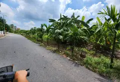 Bán đất 50m2 mặt tiền 8.5m tại Dương Quang, ngõ ô tô 24 chỗ... Bán đất tại Thuận An, Hà Nội 03
