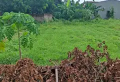 Bán đất xã Tân Tiến, Hưng Yên, diện tích 76.1 m2, pháp lý rõ ràng... Bán đất tại Tân Tiến, Hưng Yên 08