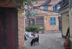 Đất đẹp 42m2 Nơ Trang Long, tiềm năng cực chất... Bán đất tại Bình Lợi Trung, Hồ Chí Minh 04