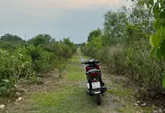 Đất 2 mặt tiền rộng rãi tại Bộ Đội An Điền, Bình Chánh... Bán đất tại Vĩnh Lộc, Hồ Chí Minh 01