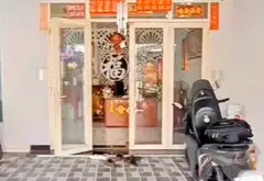 🏛 Nhà Đường Bà Triệu Kết Cấu Biệt Thự MiNi - Tại Thị Trấn Hóc Môn Chỉ Nhỉnh 6 Tỷ... Bán nhà riêng tại Hóc Môn, Hồ Chí Minh 01