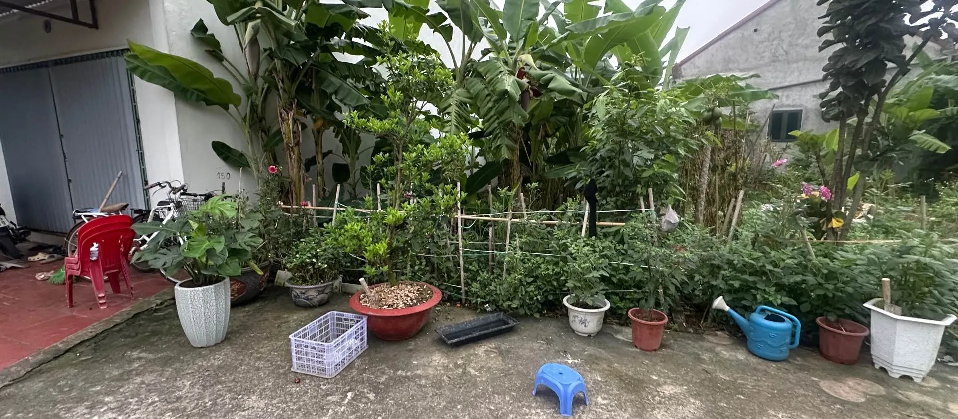 SIÊU PHẨM ĐẦU TƯ LÂU DÀI 60 M TẠI ĐÔNG LAI, NỘI BÀI, HÀ NỘI... Bán đất tại Nội Bài, Hà Nội 01
