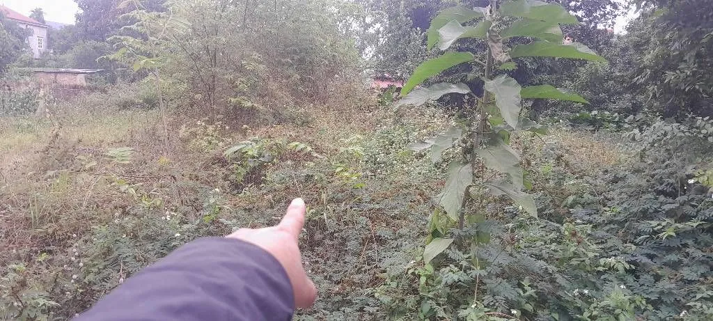 Đất hiếm gần Trường Đua Ngựa Sóc Sơn, giá hời đầu tư... Bán đất tại Sóc Sơn, Hà Nội 01