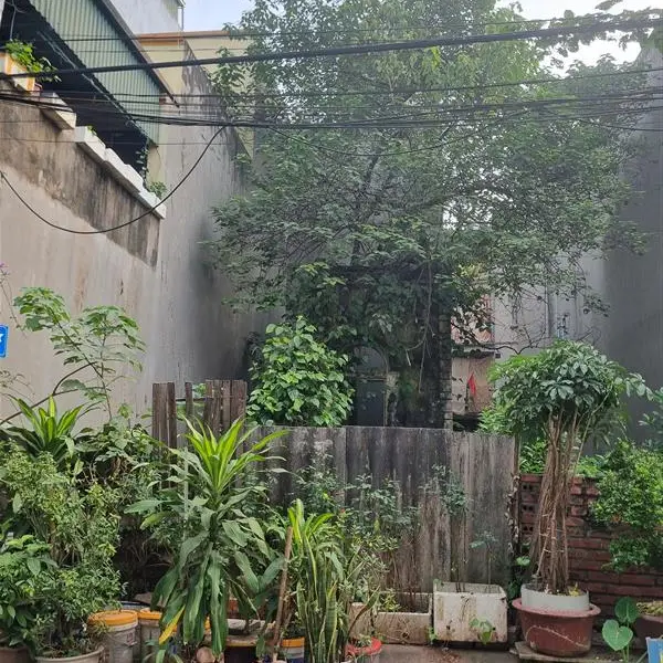 Đất Tái Định Cư, vỉa hè, oto tránh, view hồ, giá tốt... Bán nhà riêng tại Việt Hưng, Hà Nội 01