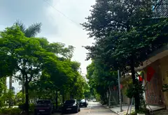LIỀN KỀ VĂN PHÚ 90M² – 5 TẦNG THANG MÁY – VIEW VƯỜN HOA – GIÁ 20,8 TỶ... Bán biệt thự, liền kề tại Kiến Hưng, Hà Nội 08