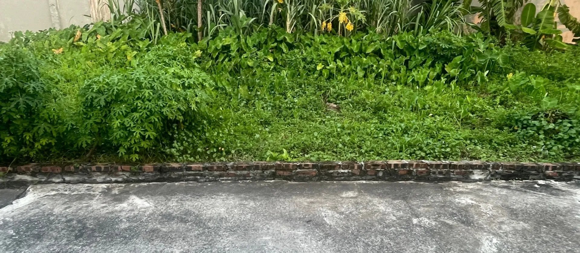 Lô đất vàng Bắc Thượng - Vị trí đắc địa, đầu tư sinh lời... Bán đất tại Nội Bài, Hà Nội 01