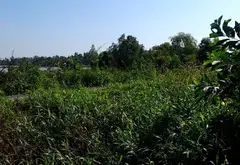 Bán nhà riêng diện tích lớn tại xã Xuân Thới Sơn, Hóc Môn... Bán nhà riêng tại Xuân Thới Sơn, Hồ Chí Minh 12