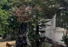 Nhà mặt phố Nguyễn Ảnh Thủ, diện tích lớn 2200m, tại Hóc Môn... Bán nhà mặt phố tại Đông Thạnh, Hồ Chí Minh 05