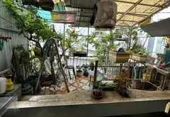 Nhà đẹp hẻm ô tô Tân Phú - Đón gió Đông Nam, đầy đủ tiện nghi... Bán nhà riêng tại Phú Thạnh, Hồ Chí Minh 10