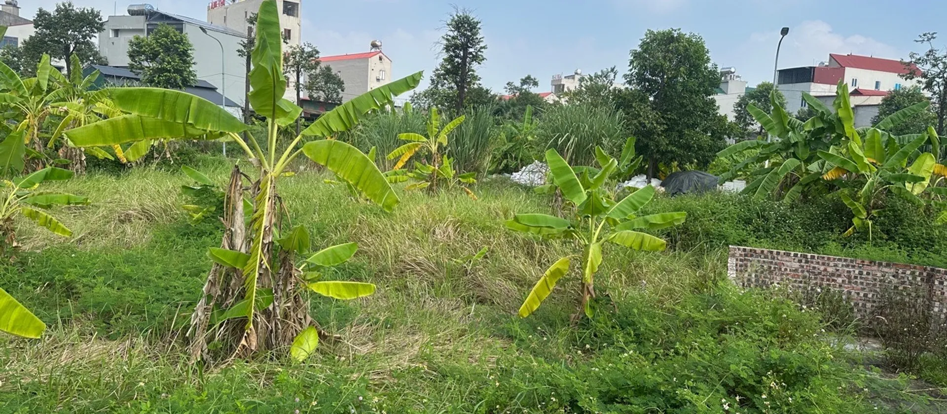 KHU PHÂN LÔ. Ô BÀN CỜ. MẢNH ĐẤT VUÔNG VĂN ĐẸP. VỊ TRÍ TIỀM NĂNG. GẦN NHIỀU TIỆN ÍCH. HIẾM NHÀ BÁN.... Bán đất tại Yên Phong, Bắc Ninh 01