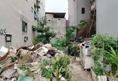 Bán đất 87m² gần KCN Yên Phong, tiện xây phòng trọ, pháp lý rõ ràng... Bán đất tại Yên Trung, Bắc Ninh 08