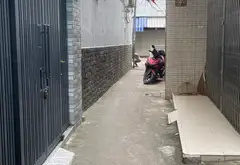 Nhà 1 Tầng Sát Chợ Phạm Văn Hai, Tiện Xây Mới, Giá Sốc 22 Tỷ... Bán nhà riêng tại Tân Sơn Hòa, Hồ Chí Minh 02