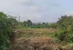 Bán đất 3100m đường nhựa, có 1000m thổ cư, Đông Thạnh, Hóc Môn... Bán đất tại Đông Thạnh, Hồ Chí Minh 02