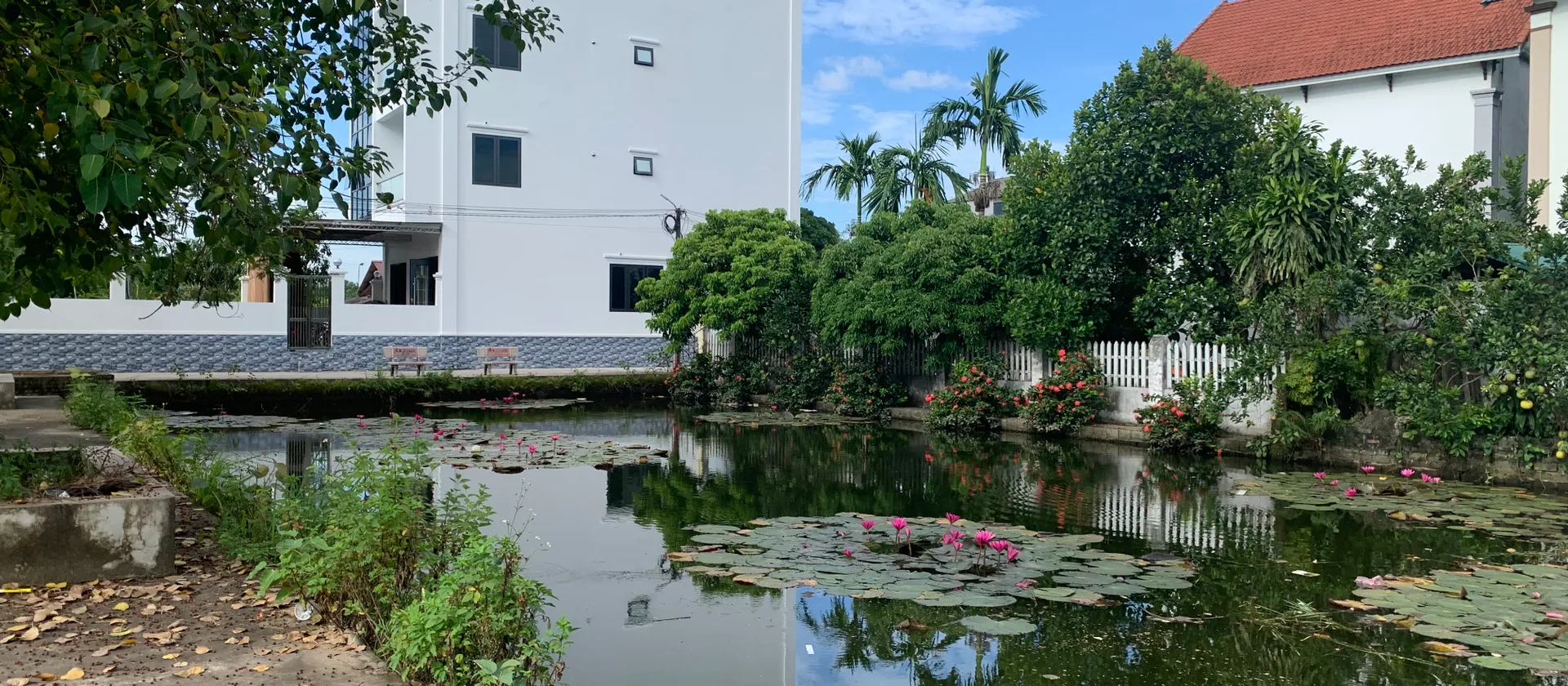 🌹🌹HÀNG ĐẸP VĂN GIANG SÁT SÂN PVF 60000 CHỖ NGỒI- ĐÓN SÓNG DU LỊCH... Bán đất tại Văn Giang, Hưng Yên 01