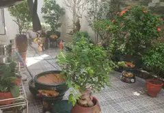 Nhà mặt phố Nguyễn Công Hòa - cơ hội vàng cho giới đầu tư khôn ngoan... Bán nhà mặt phố tại Lê Chân, Hải Phòng 08