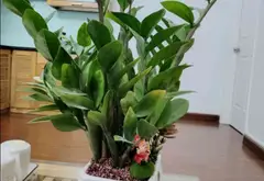Bán căn hộ chung cư 2 phòng ngủ tại phường Hà Đông, Hà Nội, tiện ích đầy đủ... Bán căn hộ chung cư tại Hà Đông, Hà Nội 08