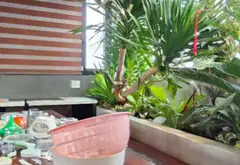 SIÊU PHẨM NGANG 6M – 6 TẦNG THANG MÁY – THIẾT KẾ ĐẸP NỔI BẬT GÒ VẤP
📐 6×12m | Trệt + lửng + 5 lầu... Bán nhà riêng tại An Hội Đông, Hồ Chí Minh 19