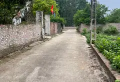 Bán đất 126,9m² mặt tiền 5,5m tại khu đông dân cư, pháp lý rõ ràng... Bán đất tại Kim Anh, Hà Nội 01