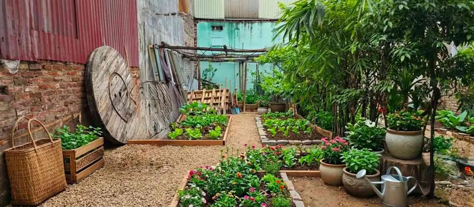 Bán đất 62m² hướng Nam tại Phù Khê, Thành phố Từ Sơn, Bắc Ninh... Bán đất tại Phù Khê, Bắc Ninh 01