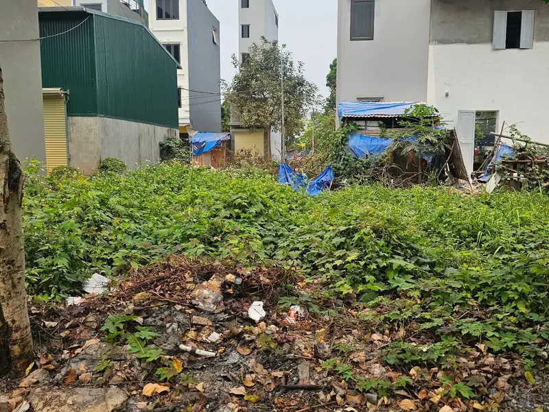 Cơ hội vàng sở hữu đất vị trí đắc địa tại Phương Nhị, Liên Ninh... Bán đất tại Ngọc Hồi, Hà Nội 01