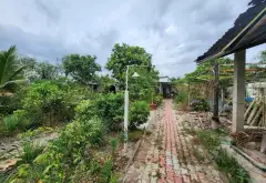 Bán đất 2474.5m2 xã Nhơn Đức, Nhà Bè giá 29 tỷ... Bán đất tại Hiệp Phước, Hồ Chí Minh 15