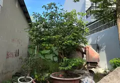 Bán đất phường An Phú Đông, Hồ Chí Minh, diện tích 81.2m2, pháp lý rõ ràng, giá 3.8 tỷ... Bán đất tại An Phú Đông, Hồ Chí Minh 02