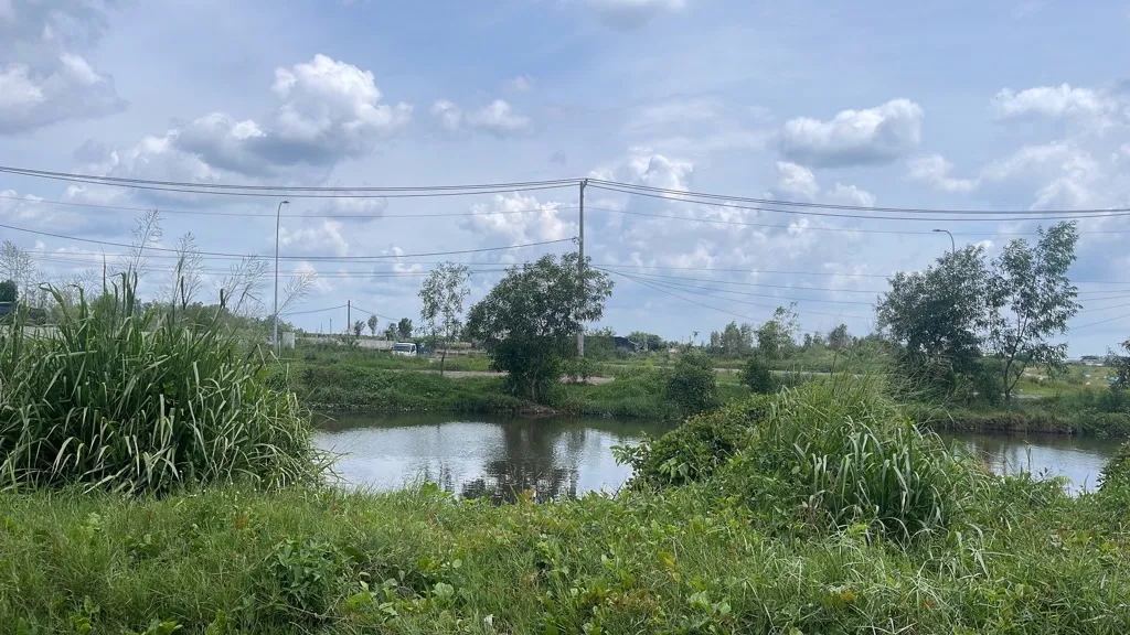 Bán đất mặt tiền đường Trần Hải Phụng, diện tích 1270 m2... Bán đất tại Tân Vĩnh Lộc, Hồ Chí Minh 01