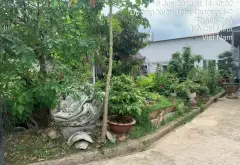 Nhà mặt tiền rộng 21m full thổ cư xã Bà Điểm giá tốt... Bán nhà mặt phố tại Bà Điểm, Hồ Chí Minh 08