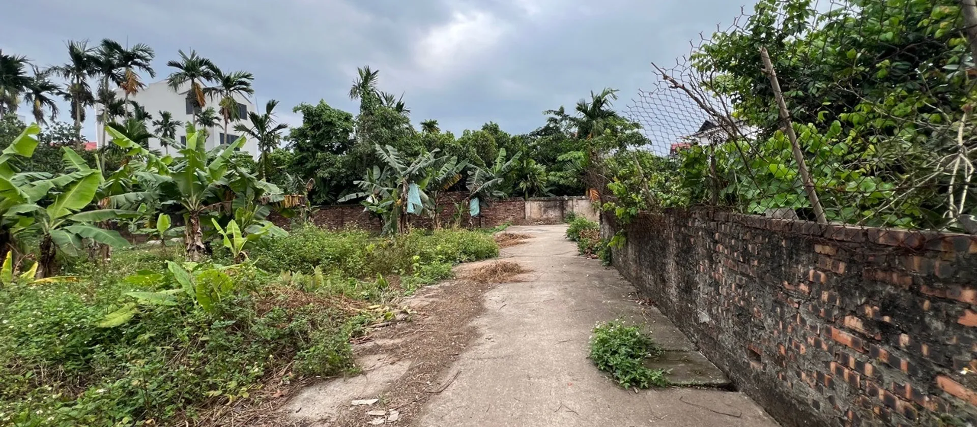 Đất nền vàng tại Đan Kim xã văn Giang - tiềm năng sinh lời cao... Bán đất tại Văn Giang, Hưng Yên 01