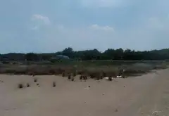 Bán đất 6000m2 mặt tiền 56m tại An Thới Đông TP HCM... Bán đất tại An Thới Đông, Hồ Chí Minh 06