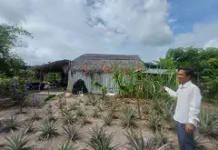 BÁN 2 CÔNG ĐẤT VƯỜN FULL THỔ ,TRƯƠNG VĂN ĐA ĐƯỜNG ĐÁ XANH XE HƠI TỚI ĐẤT... Bán đất tại Bình Lợi, Hồ Chí Minh 07