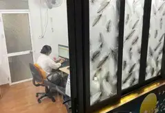 Cơ Hội Độc Quyền: Nhà Triển Khai Bán Gấp Tại Kiều Sơn - An Ninh 24/7!... Bán nhà riêng tại Hải An, Hải Phòng 04