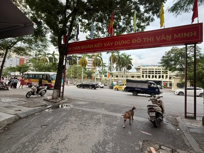 Nhà Đẹp 4 Tầng Phường Lê Chân, Hải Phòng - Giao Thông Thuận Tiện... Bán nhà riêng tại Lê Chân, Hải Phòng 01