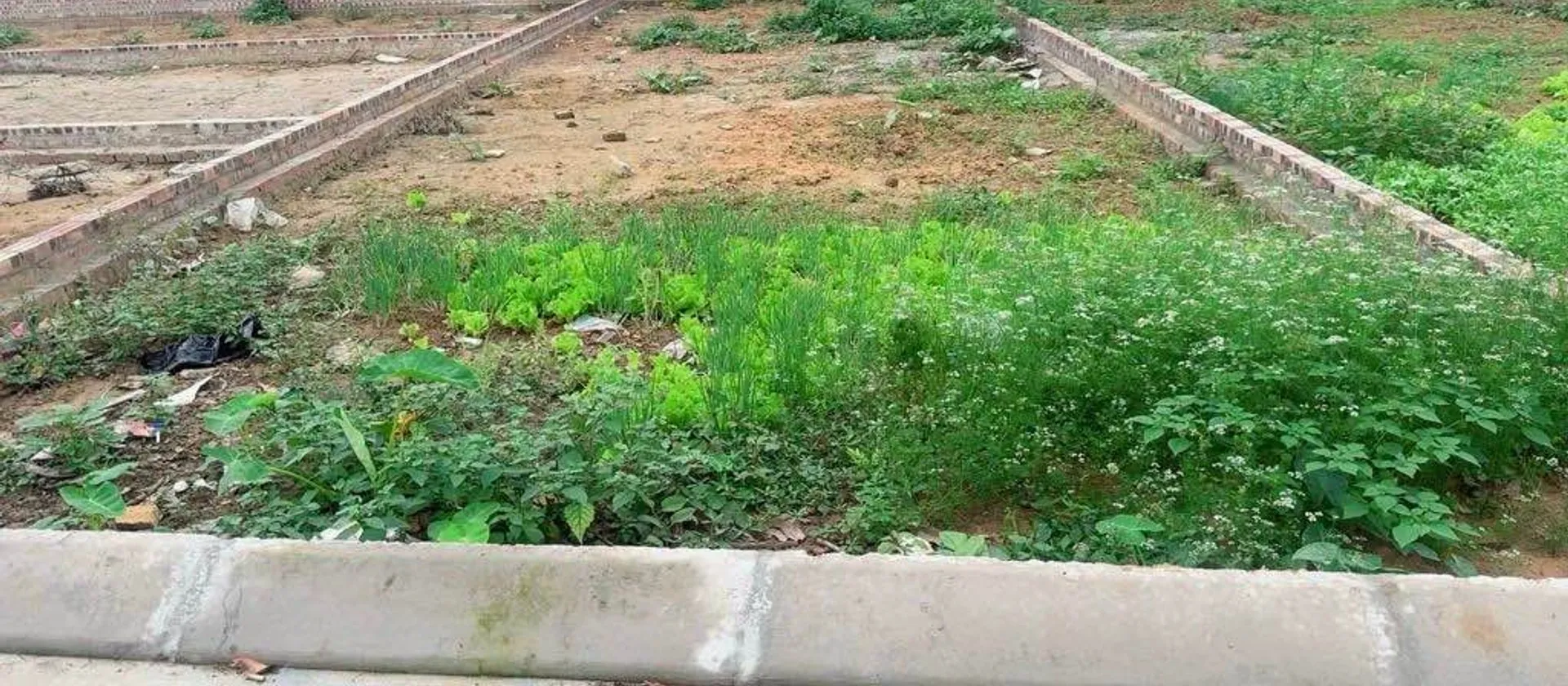 Đất Vuông Mặt Tiền 5m - Kết Nối Tiện Ích Sóc Sơn... Bán đất tại Sóc Sơn, Hà Nội 01