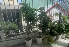 Nhà riêng 2 tầng rộng rãi, lô góc thoáng tại phường Thanh Khê, Đà Nẵng... Bán nhà riêng tại Thanh Khê, Đà Nẵng 06