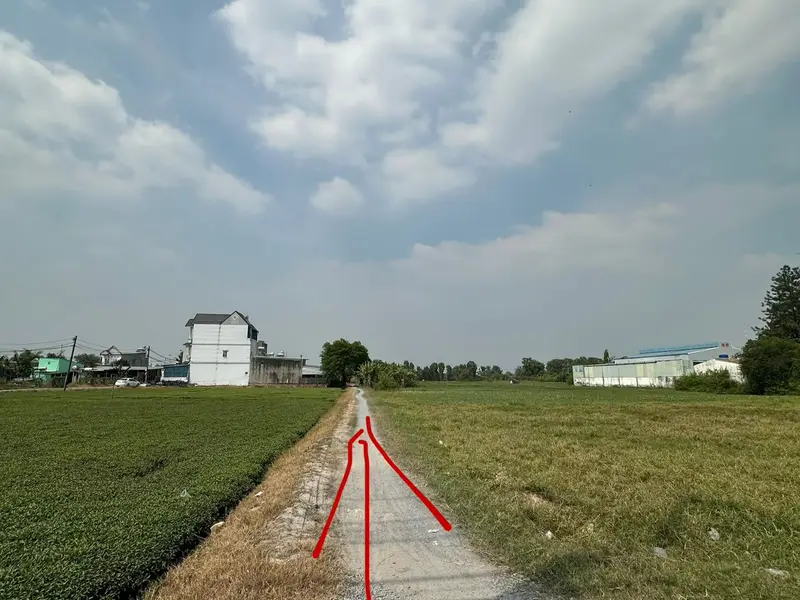 Bán đất 2533m2 Bà Điểm 4 giá 27,8 tỷ, mặt tiền 41m... Bán đất tại Bà Điểm, Hồ Chí Minh 01