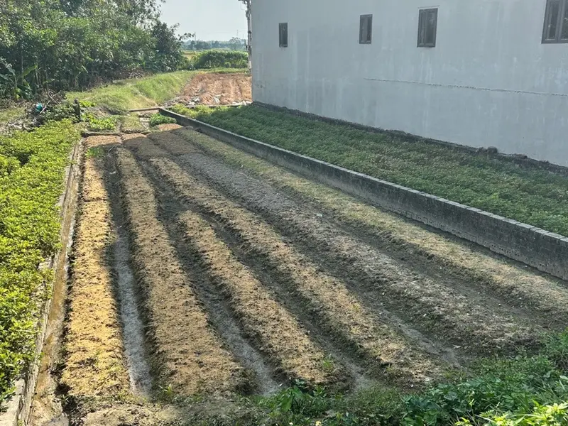 Đất đẹp hiền lương Đào viên Bắc Ninh 2,1tỷ... Bán đất tại Đào Viên, Bắc Ninh 01