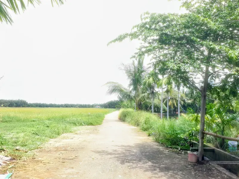 Bán Căn Nhà 268.7m.Cạnh Hồ Tôm,Bên Cánh Đồng Lúa Xanh Mát.Tọa Lạc Cẩm Thanh.Hội An.... Bán bất động sản khác tại Hội An Đông, Đà Nẵng 01