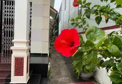 Nhà 2 tầng rộng rãi, ô tô vào tận nơi tại Dương Kinh gần phố Đại Thắng... Bán nhà riêng tại Dương Kinh, Hải Phòng 02